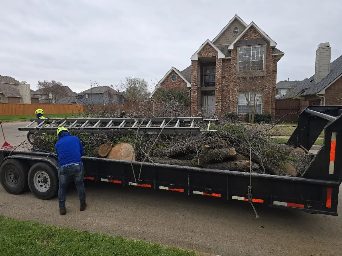 Expert Tree Fertilization with proper safety equipment in Fairfield